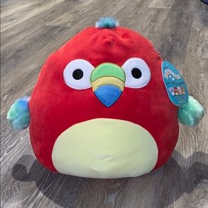 NWT 12” Squishmallow Parrot